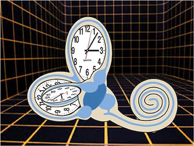 Editorial: Role of the vestibular system in the perception of time and space